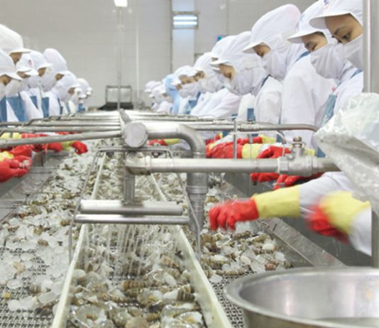 Xuất khẩu chuyển dịch từ lượng sang chất