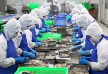 Thủy sản Việt xoay trục khi Mỹ siết chuẩn