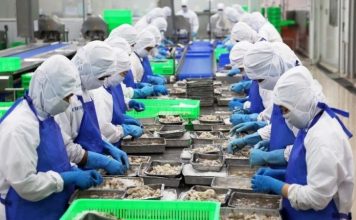 Thủy sản Việt xoay trục khi Mỹ siết chuẩn