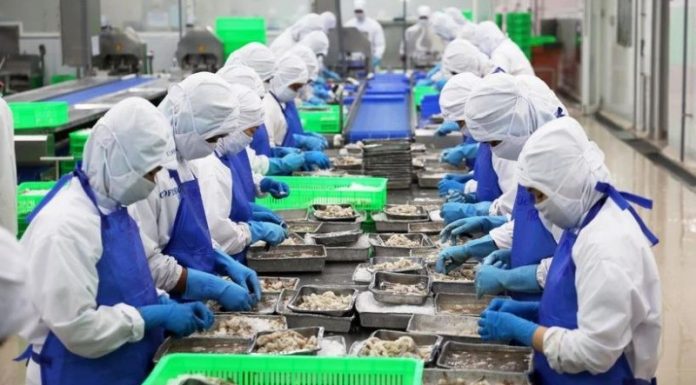 Thủy sản Việt xoay trục khi Mỹ siết chuẩn