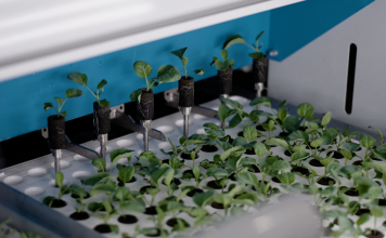 Singapore vận hành trang trại thẳng đứng cao nhất thế giới, ứng dụng AI và robot