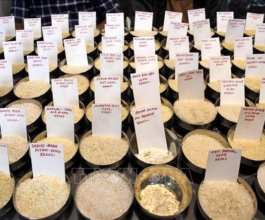 Cước vận tải “ghìm chân” xuất khẩu gạo châu Á