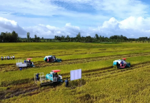 Doanh nghiệp, hiệp hội chung tay giữ nhịp sản xuất nông nghiệp