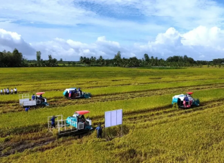 Doanh nghiệp, hiệp hội chung tay giữ nhịp sản xuất nông nghiệp