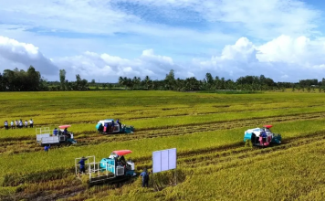 Doanh nghiệp, hiệp hội chung tay giữ nhịp sản xuất nông nghiệp