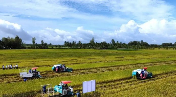 Doanh nghiệp, hiệp hội chung tay giữ nhịp sản xuất nông nghiệp