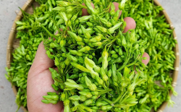 Trồng hoa thơm làm rau bán cháy hàng, nông dân bỏ túi 1 triệu/ngày