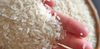 Việt Nam đề nghị EU sửa đổi danh mục gạo thơm ưu đãi thuế